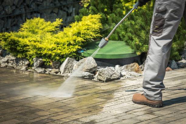 Best Playground Equipment Cleaning  in Whitesboro, AL