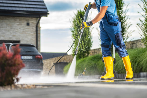 Best Driveway Pressure Washing  in Whitesboro, AL